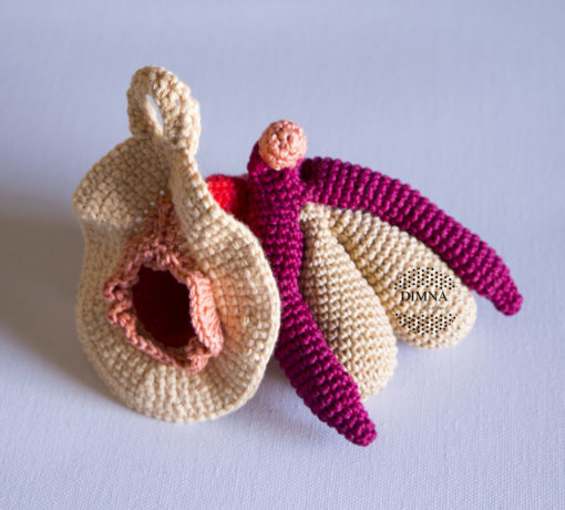 clítoris, vulva y vagina a ganchillo diseñado y tejido por dimnadesigns